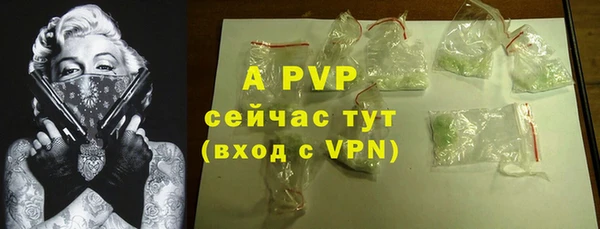 шишки Няндома
