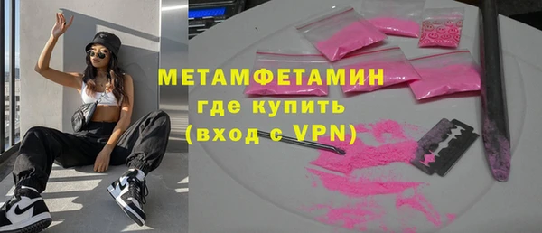 шишки Няндома