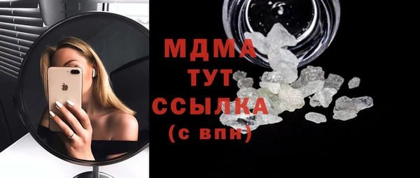 шишки Няндома