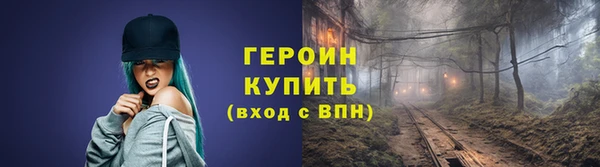 шишки Няндома