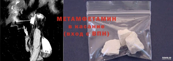 шишки Няндома