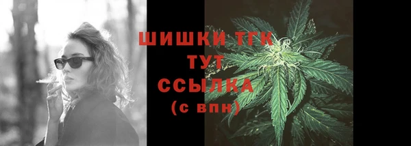 шишки Няндома