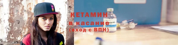 шишки Няндома