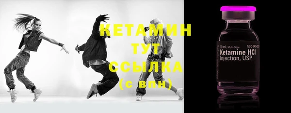 шишки Няндома