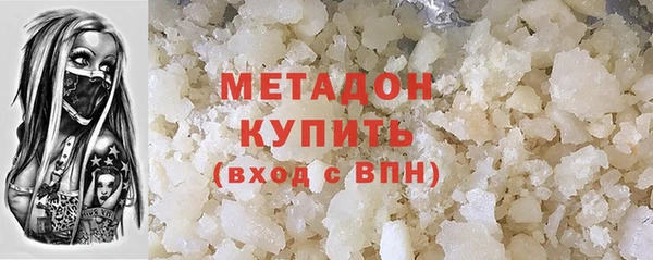 шишки Няндома