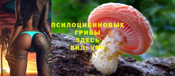 дурь Нягань