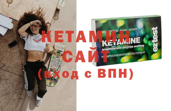 шишки Няндома