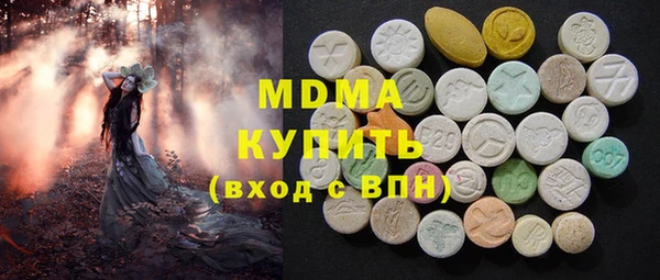 шишки Няндома