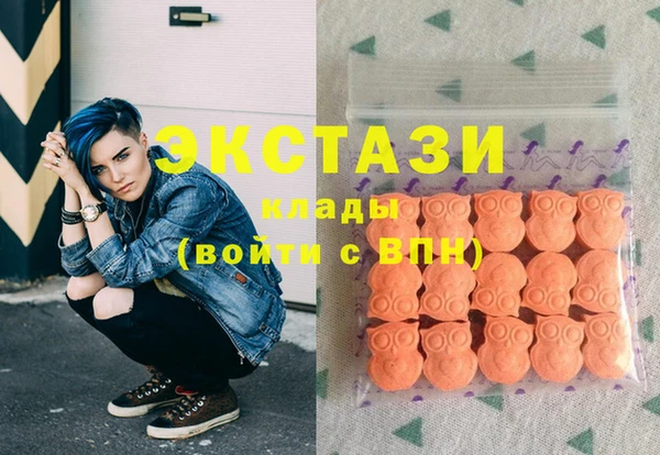 шишки Няндома