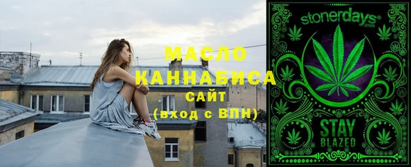 шишки Няндома