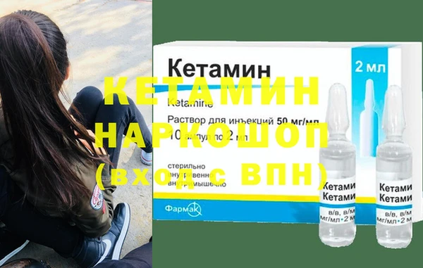 шишки Няндома