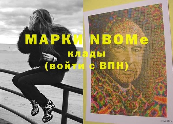 шишки Няндома
