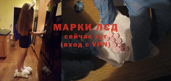 шишки Няндома