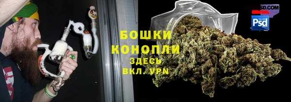 дурь Нягань