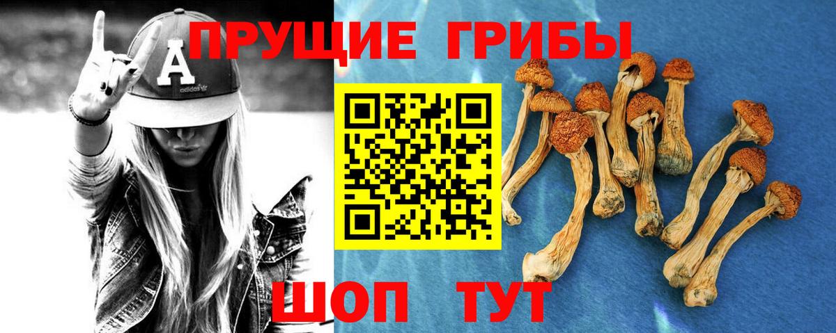 Галлюциногенные грибы GOLDEN TEACHER Зеленодольск