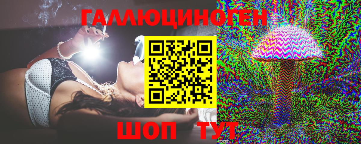 Псилоцибиновые грибы Psilocybe Зеленодольск