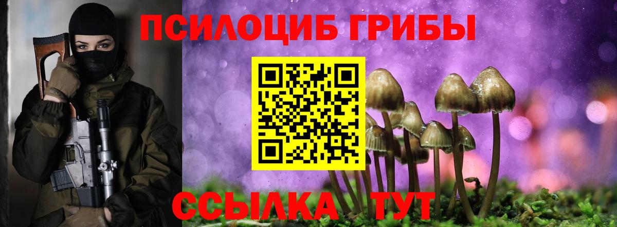 Галлюциногенные грибы GOLDEN TEACHER  Вход с VPN  Зеленодольск 